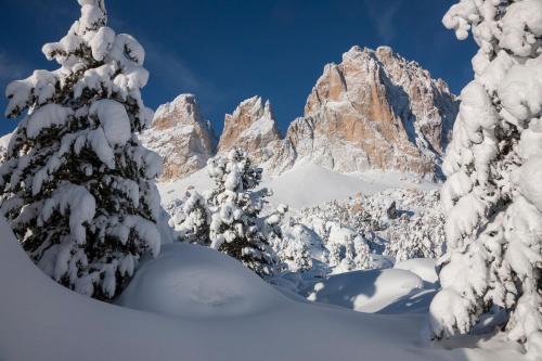 a snowy mountain with trees and snow covered mountains at Hotel Chalet Sas Morin in Pozza di Fassa