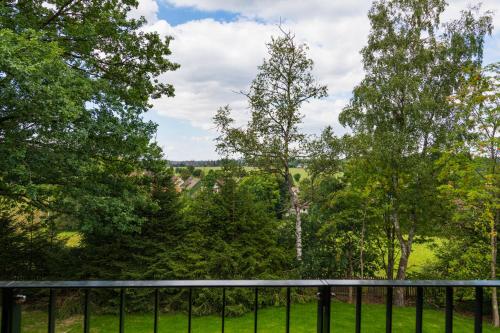 a view from the deck of a house with trees at Harz-Urlaubs-Alm Hotel & Ferienhäuser in Clausthal-Zellerfeld