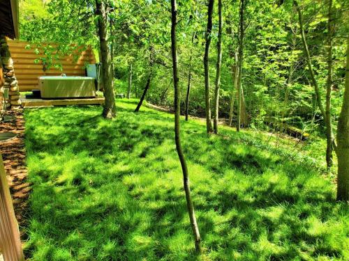 a tree branch in the grass next to a house at 3 Cottage Exclusive Retreat-Hot Tubs-Walk to Beach in Traverse City