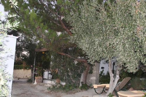 a tree with a bench in front of a house at To Spiti Tou Papa Sto Vouno in Kamilari