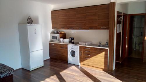 シオーフォクにあるLara apartman Siófokのキッチン(白い冷蔵庫、洗濯機付)