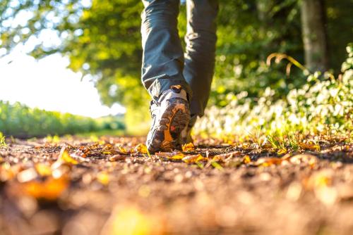a person walking down a leaf covered path at VilaFoia in Monchique