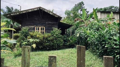 Κήπος έξω από το Guesthouse Príncipe Eco Lodge
