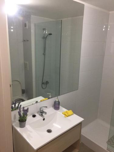 a bathroom with a sink and a shower and a mirror at Departamento Avda Pacifico La Serena in La Serena