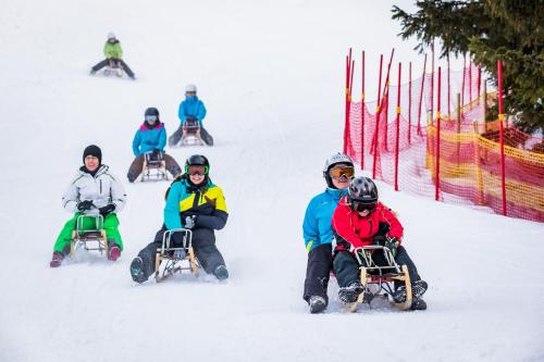 a group of people riding on sleds in the snow at Gästehaus Biobauernhof Mandl in Murau