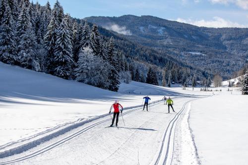 three people cross country skiing on a snow covered slope at Gästehaus Biobauernhof Mandl in Murau