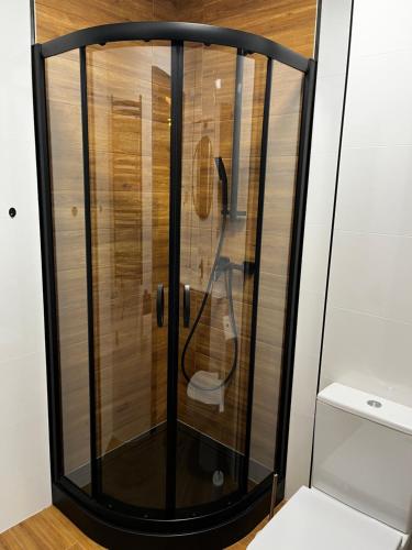 a shower stall with a toilet in a room at Komfortowy Apartament w centrum in Jaworzno
