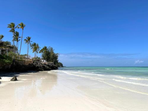 a sandy beach with palm trees and the ocean at Aya Beach Resort in Kizimkazi