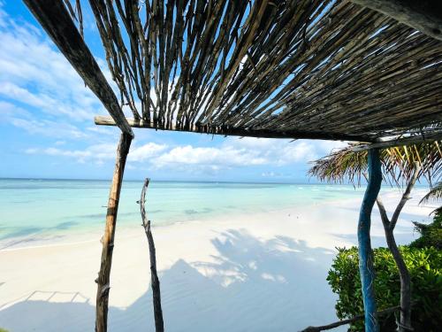 a view of the beach from a hut at Aya Beach Resort in Kizimkazi