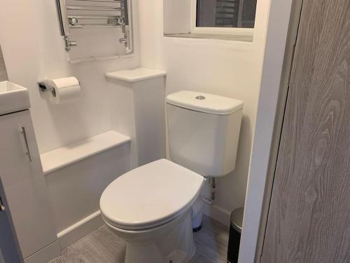 uma casa de banho branca com um WC e um lavatório em 1. Delightful Apartment em Birmingham