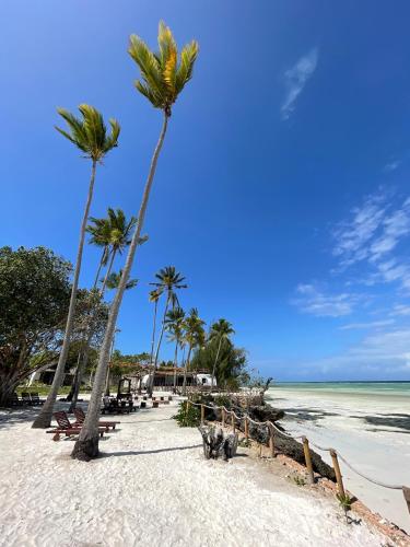 two palm trees on a sandy beach with the ocean at Aya Beach Resort in Kizimkazi