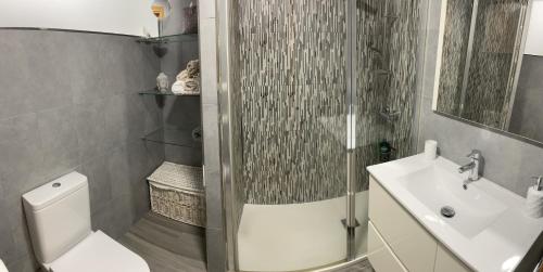 a bathroom with a shower and a toilet and a sink at Apartamento en el centro de Viveiro in Vivero