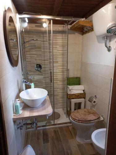 bagno con doccia, lavandino e servizi igienici di la casetta di Vacone a Vacone