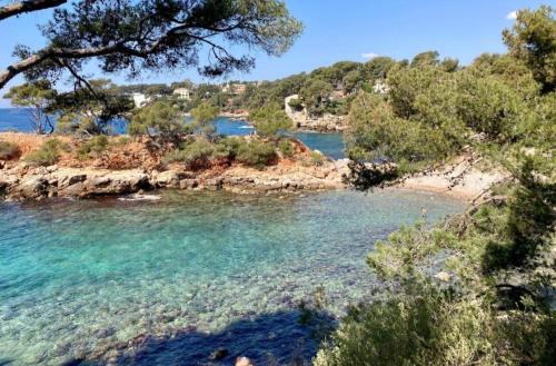 - une vue sur la plage avec des arbres et l'eau dans l'établissement Studio RDC, terrasse, parking, à Bandol