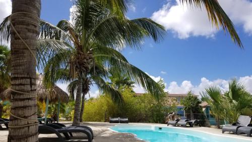 a palm tree next to a swimming pool with chairs at Kas Lagoen Blou (Ocean Breeze 13) in Kralendijk