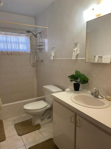 a bathroom with a toilet and a sink and a shower at Luxurious One and Two Bedroom Villa in Christiansted
