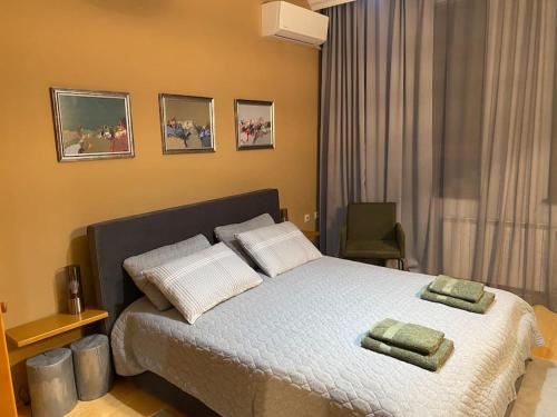 une chambre avec un lit avec deux oreillers dessus dans l'établissement Cozy mountain apartament near the Gondola lift, à Bansko