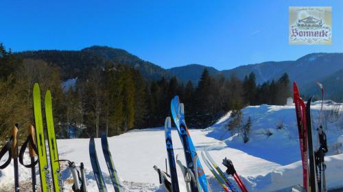 a bunch of skis are lined up in the snow at Hotel-Gasthof-Sonneck in Reit im Winkl