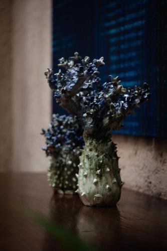 a vase filled with flowers sitting on a table at Hotel Almería in Salta
