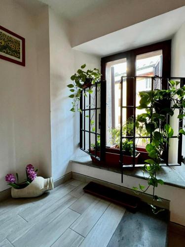 a room with a window with a bunch of plants at Hotel Centrale in Cascia