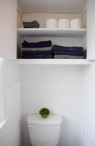 a bathroom with a toilet with a plant on top of it at Beautiful 3 Bedroom Home Cozy Front and Back Porch in Munhall