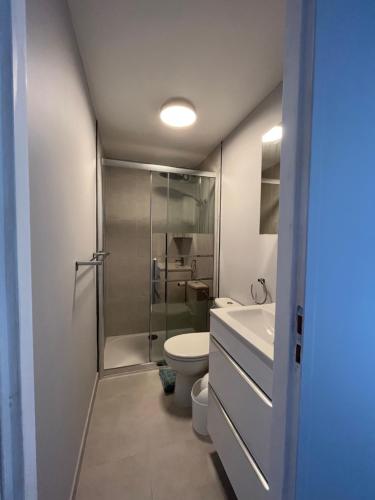 ein Bad mit einer Dusche, einem WC und einem Waschbecken in der Unterkunft Les Gites du Verdon, côté lac (studio et T2) in Sainte-Croix-de-Verdon