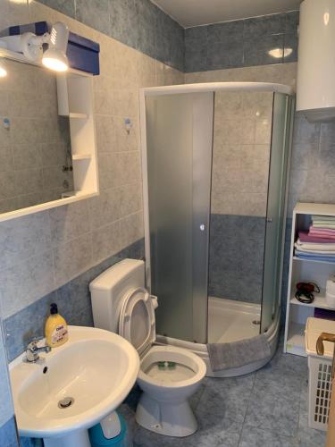 een badkamer met een douche, een toilet en een wastafel bij Apartman Ruža in Brzac