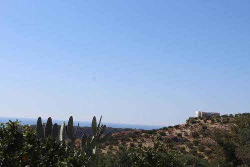 a view of the ocean from a hill with cactus at To Spiti Tou Papa Sto Vouno in Kamilari