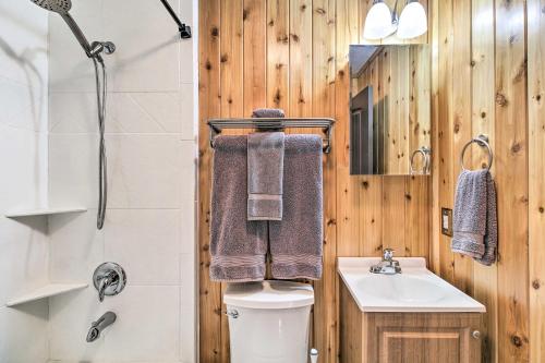 a bathroom with a toilet and a sink at 2 Mi to Rainbow Lake Serene Hidden Haven Studio in Lake of the Woods