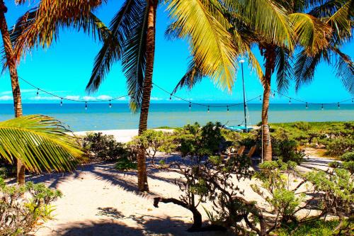 a view of a beach with palm trees and the ocean at Paros a gulf of Mexico paradise in Uaymitun