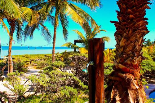 a view of a beach with palm trees and the ocean at Paros a gulf of Mexico paradise in Uaymitun