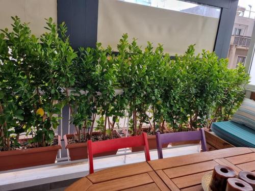 a table and chairs in a room with plants at Modern studio apartment A in Athens