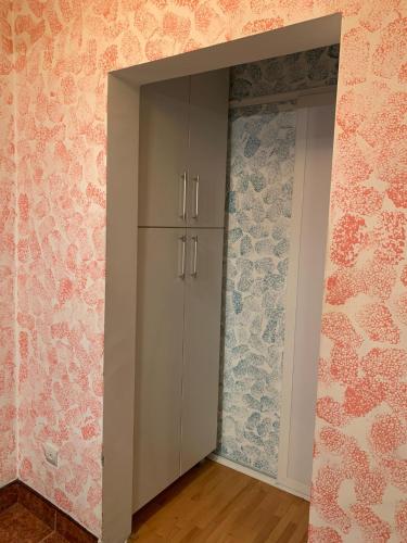 クルジュ・ナポカにあるB&B Clujの壁のある部屋にあるキャビネット