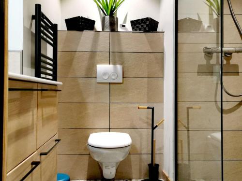 une petite salle de bain avec toilettes et douche dans l'établissement Studio rénové avec kitchenette, balcon et wifi - FR-1-598-84, aux Gets
