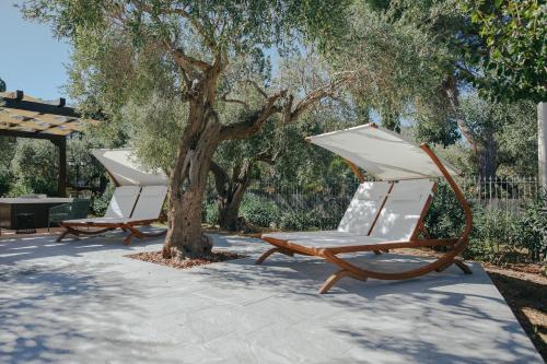 two lounge chairs sitting next to a tree at Archi Bianchi in Cefalù