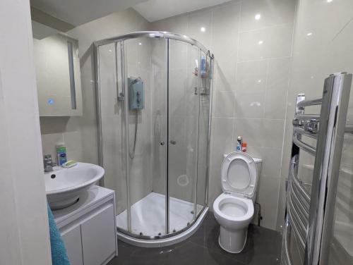 a bathroom with a shower and a toilet and a sink at Spacious 2 bedroom house with garden in Edmonton