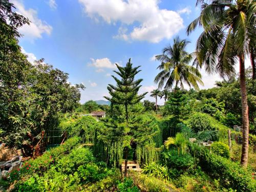 Un jardín fuera de Anil Farms Gir Jungle Resort