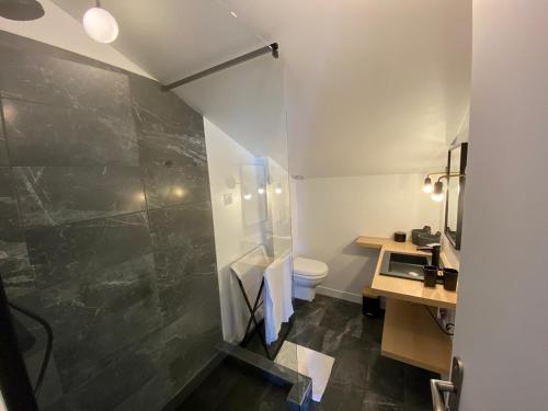 une salle de bain avec toilettes et lavabo dans l'établissement Grand duplex rénové - 10 pers, 4 ch, 3 sdb, 80m2 terrasse - FR-1-546-10, à Les Deux Alpes