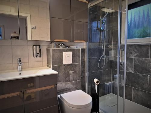 un bagno con doccia, WC e lavandino di Bergblüte a Bad Harzburg