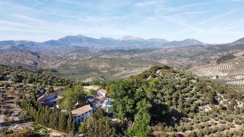 una vista aérea de un viñedo en las montañas en EL CONVENTO Vivienda Rural Jaén Andalucía España en Carchelejo