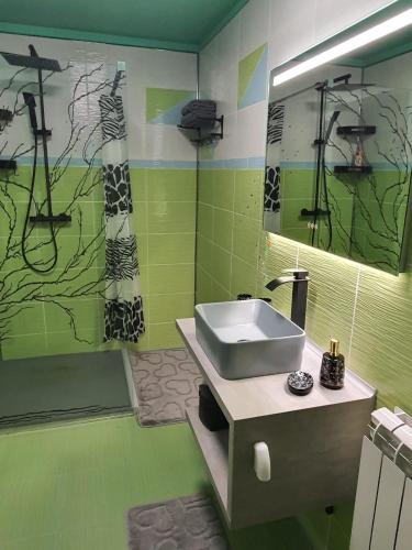 a green bathroom with a sink and a mirror at Casa Doina in Râşnov