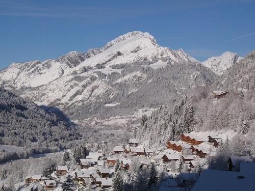 Foto dalla galleria di Hôtel Les Triolets a Châtel