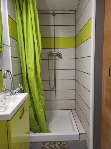 La salle de bains est pourvue d'une douche avec rideau de douche vert. dans l'établissement Charmant studio avec terrasse, à Saint-Cyprien