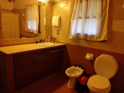 een badkamer met een toilet, een wastafel en een spiegel bij Ruca Quimei Malek in Bariloche