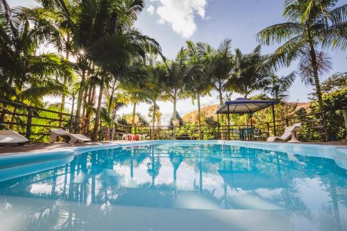 a swimming pool with palm trees in the background at Hotel Pousada Vovô Zinho in Siqueira Campos