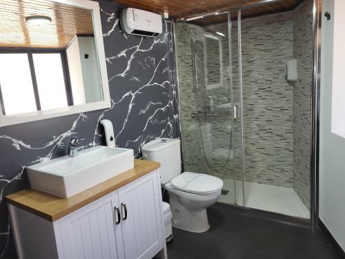 a bathroom with a toilet and a sink and a shower at Casa Cerralleiro. Casa vacacional en Parada de Sil. Ribeira Sacra. in Parada del Sil