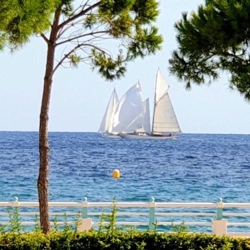 Garden and beach sea view apartment Cannes photo 24