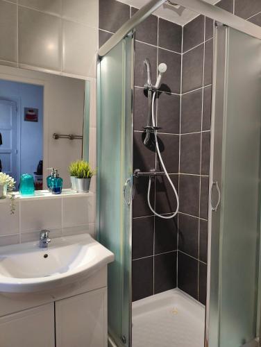 a bathroom with a shower and a sink at Avranches - gare- Mont Saint-Michel in Avranches