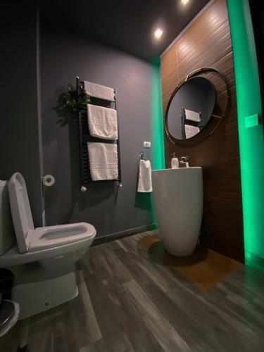 a bathroom with a white toilet and a mirror at Villa Virginia in Broşteni