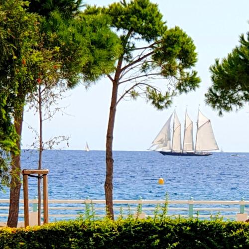Garden and beach sea view apartment Cannes photo 21